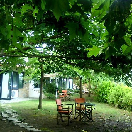 Country Art Studio Alkyoni Apartment Kokkino Nero ภายนอก รูปภาพ
